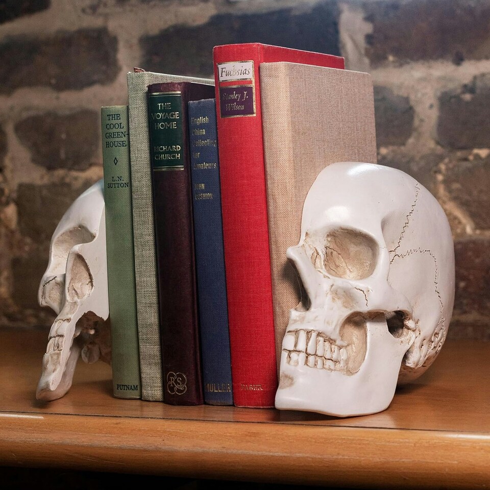 image 1 of Suck Uk Skull Design Book Shelves & Storage
