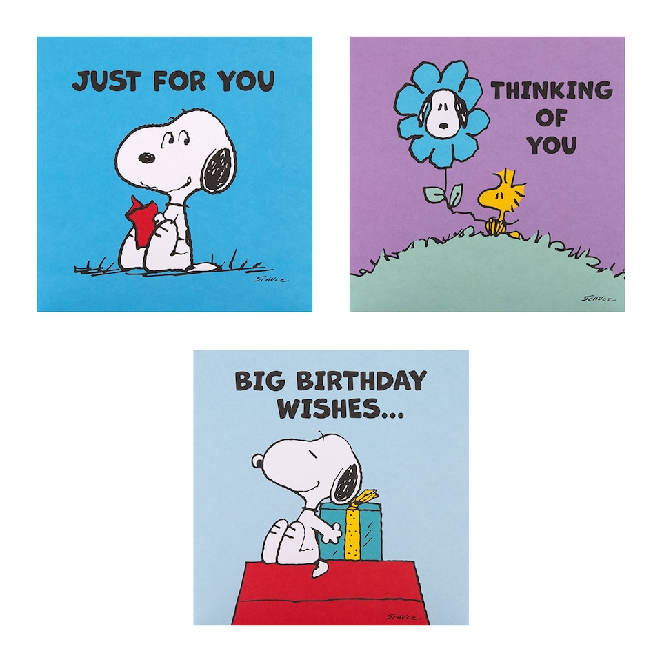 image 1 of Peanuts Comic Snoopy & Woodstock Pack of 10 in 5 Designs Birthday Cards