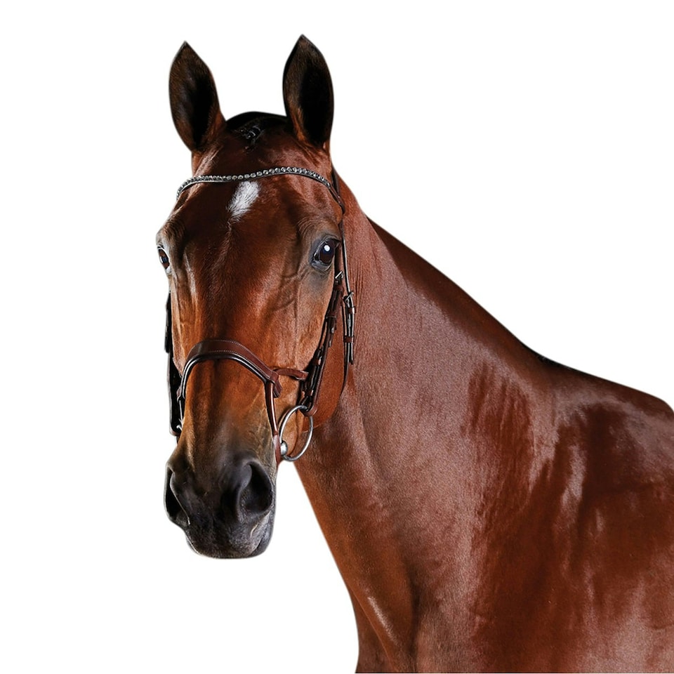 image 1 of Collegiate Comfitec Crystal Leather Bridle - Brown - Full