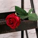 image 1 of Red Buckingham Rose Artificial Silk Flower 40cm