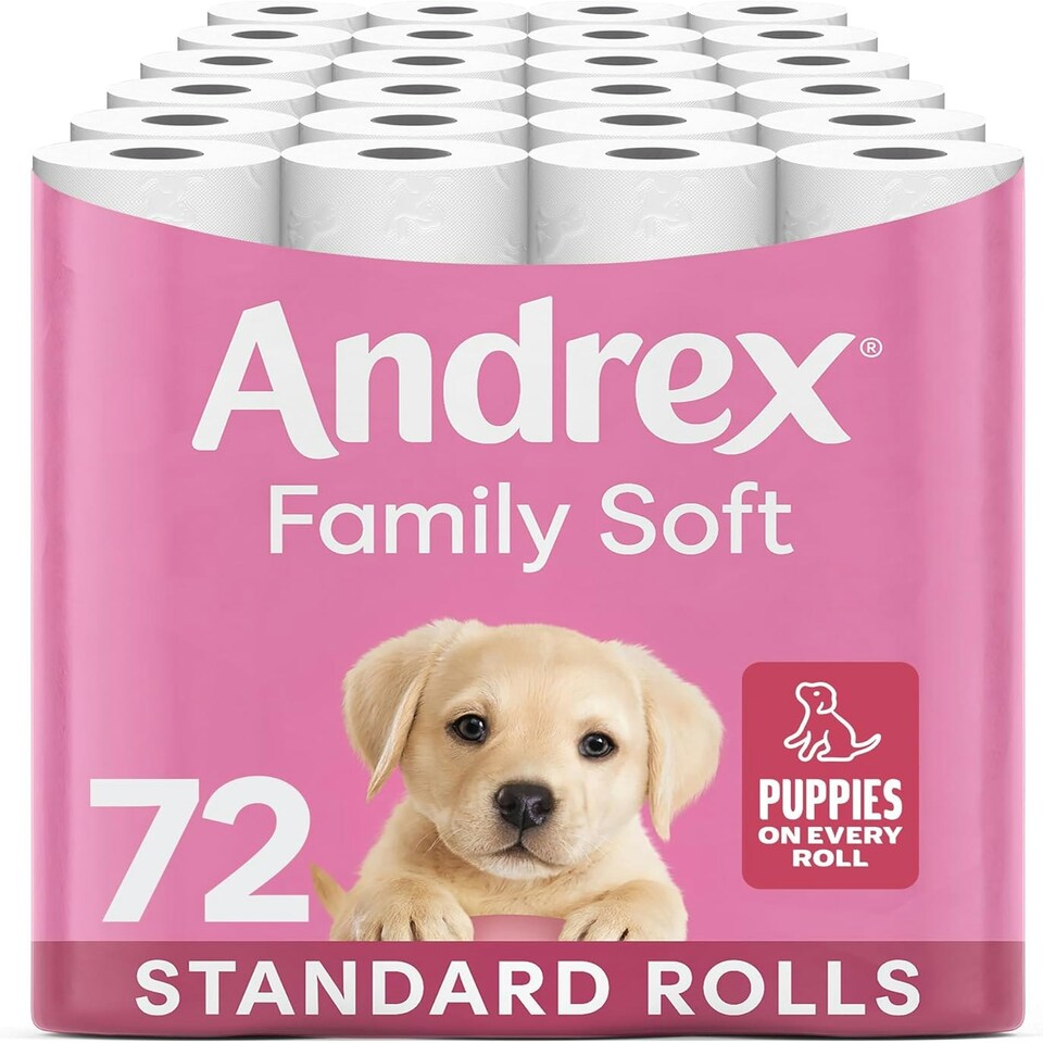 Andrex Family Soft Toilet Tissue 72 Rolls (Previously Andrex Gentle Clean) Gentle on your FamilyÕs skinÐ Bulk Pack of 72 Toilet Rolls, FSC Certified