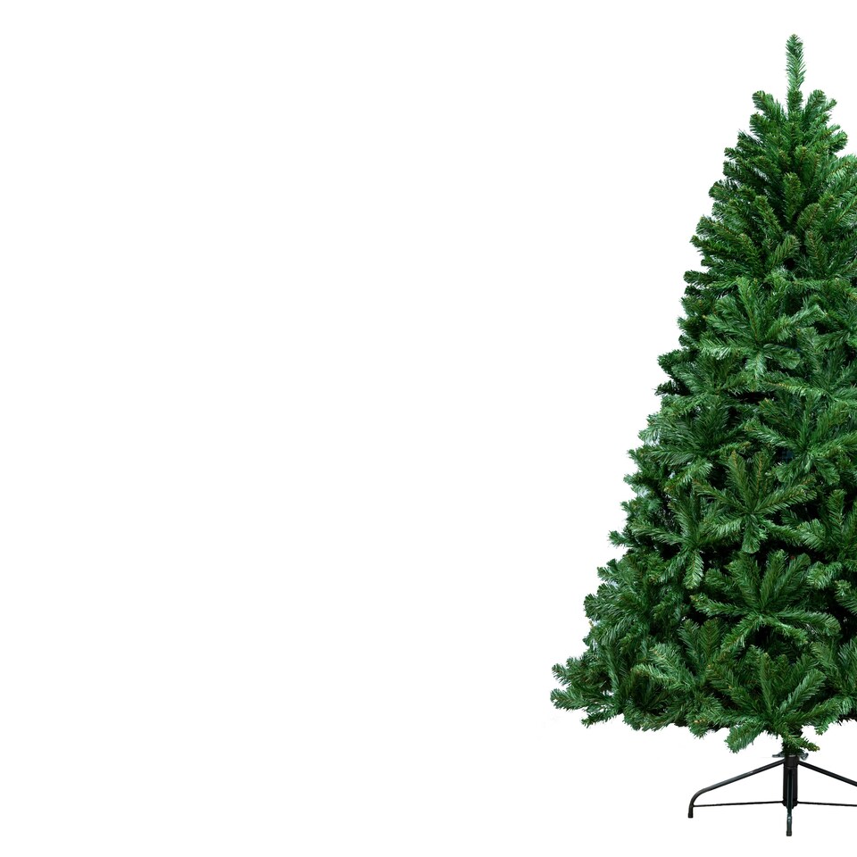 image 1 of Christmas Tree World  7ft/210cm Arbor Vitae Fir Tree - Hook On Branches