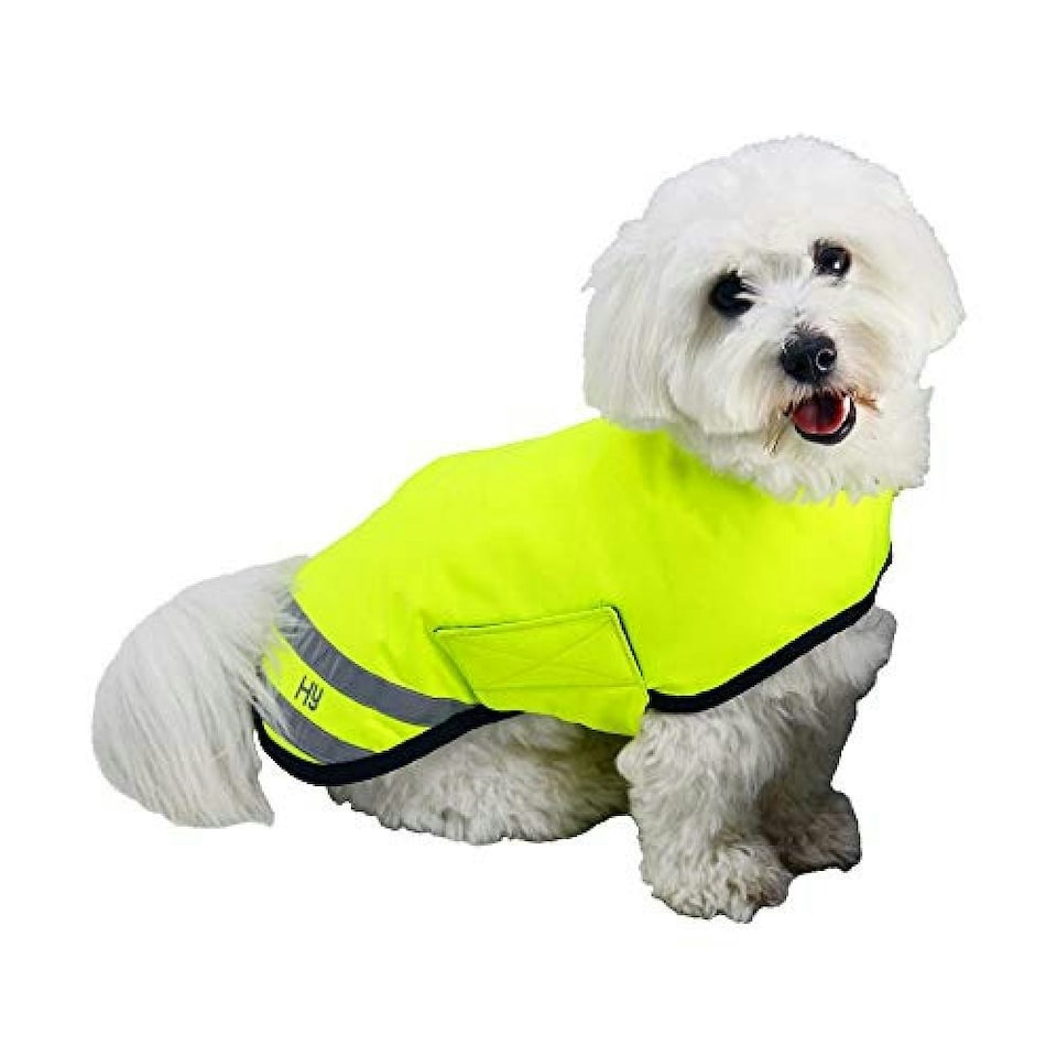 HyVIZ Reflector Waterproof Dog Coat - Yellow - XXS