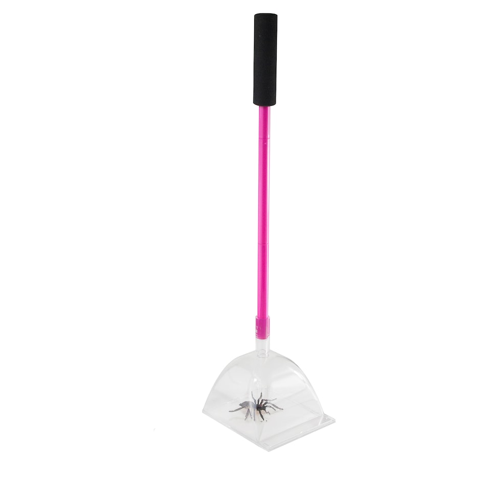 image 1 of Big Bug Katcha - Large Spider & Bug Trap -Pink