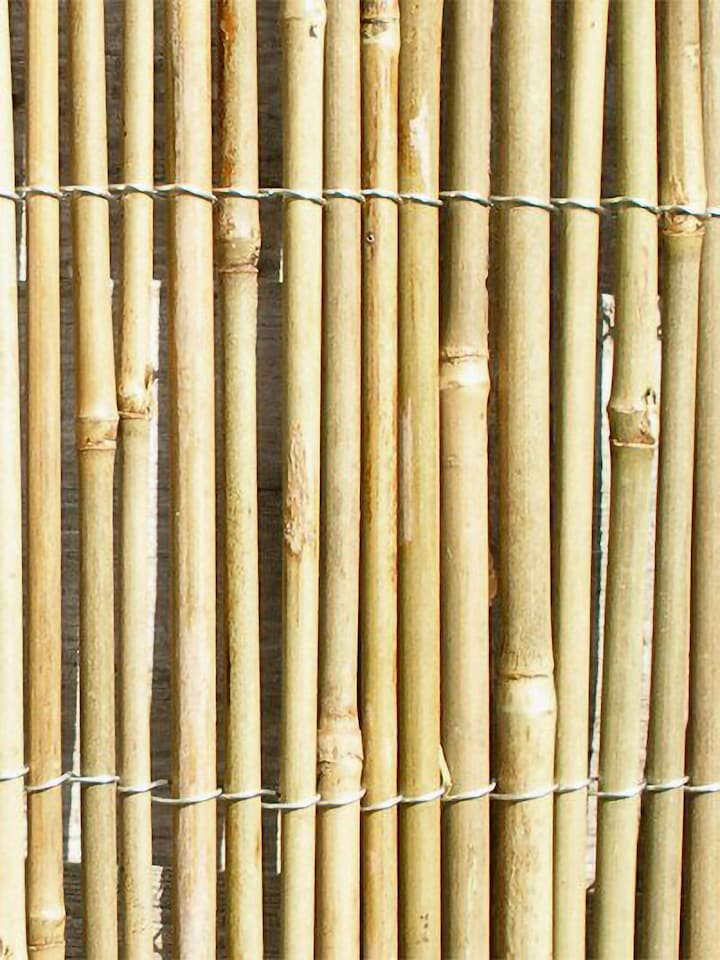 image 1 of Bamboo Cane Screening Roll Natural Fencing 3.0m x 2.0m | Brown | Brown