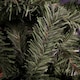 image 7 of 7ft (2.1m) Woodcote Spruce Artificial Christmas Tree