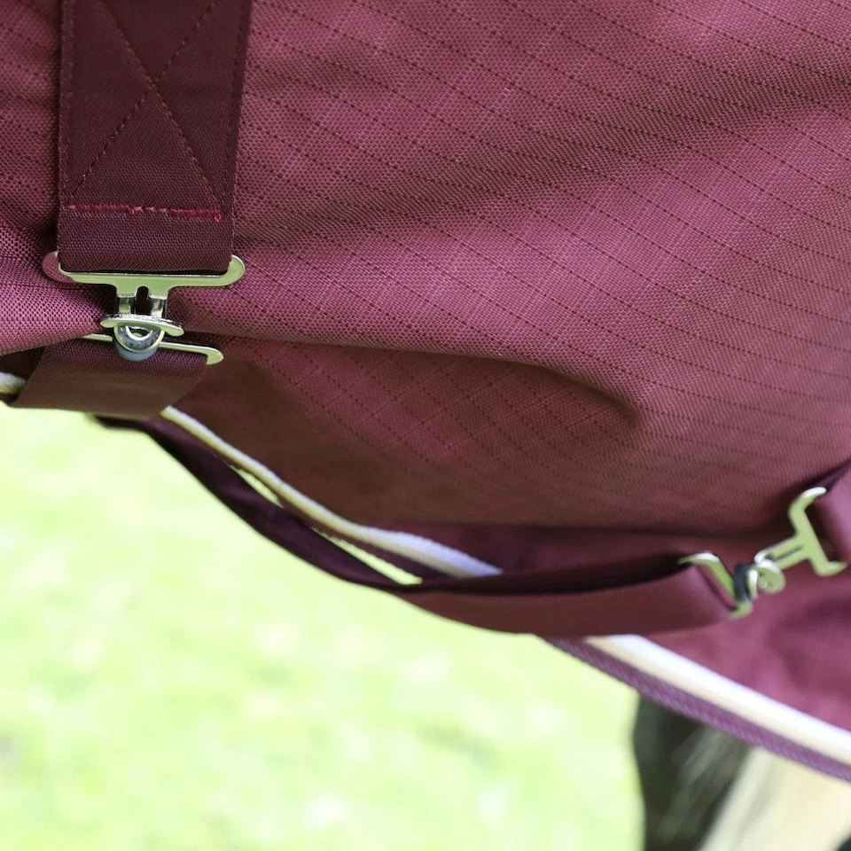 image 1 of Highlander Plus Combo Neck 100g Horse Turnout Rug - Maroon - 6´ 9"