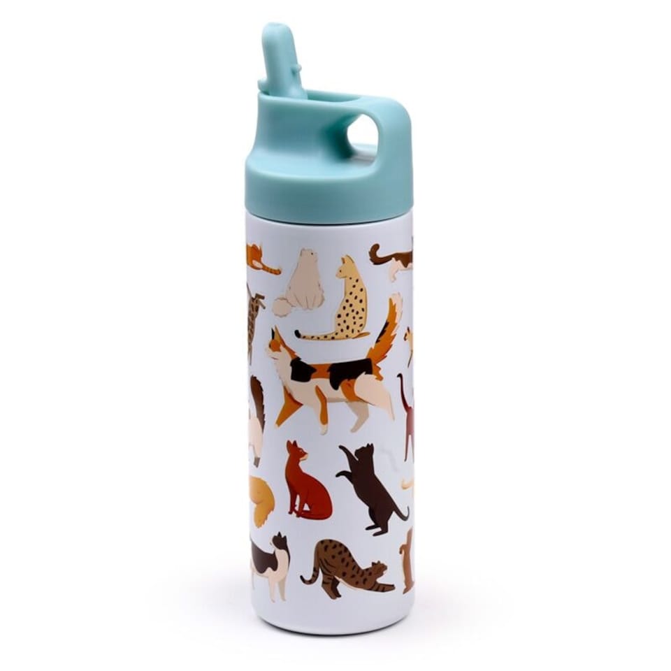 image 1 of Feline Fine Cats Hot & Cold Flip Top Drinks Bottle 500ml