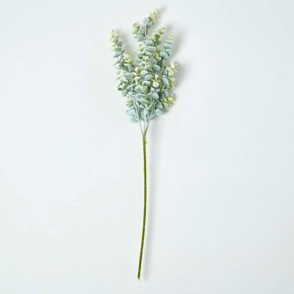 image 1 of Homescapes Eucalyptus Spray Single Stem 68 cm