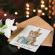 image 4 of Adorable Kitten Pet Party Hat Girl Boy Kids Birthday Card