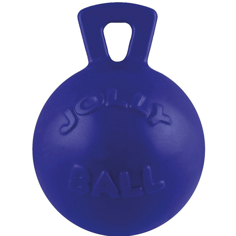 image 1 of Jolly Pets Tug-N-Toss Dog Toy - Blue - 4.5
