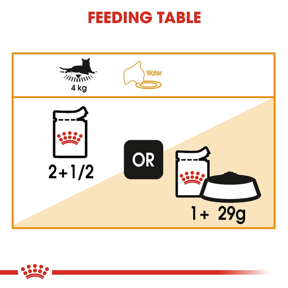 image 1 of ROYAL CANIN® Intense Beauty Care Adult Wet Cat Food N/A | Size: 12 x 85g
Texture: Jelly