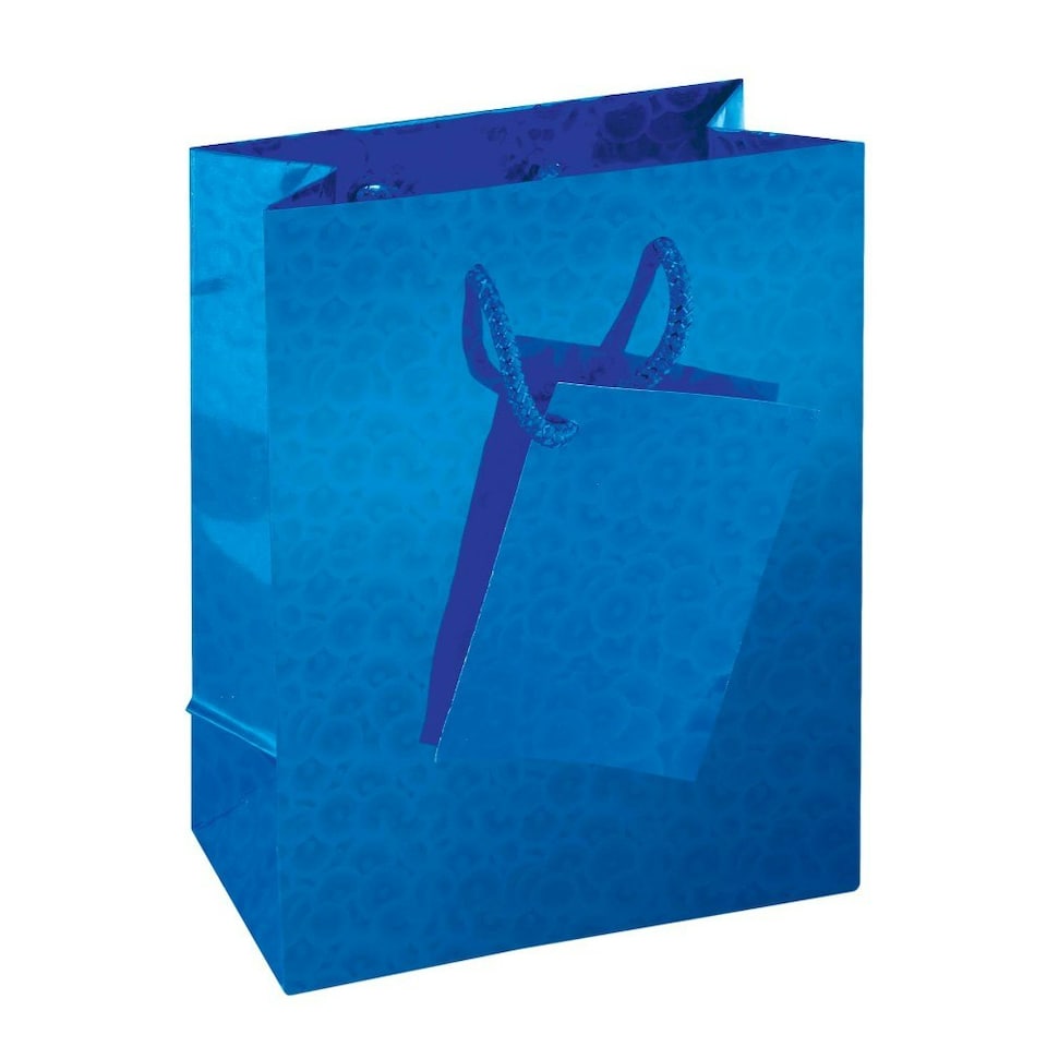 image 1 of Pack of 12 Gift Bag Small Holographic
