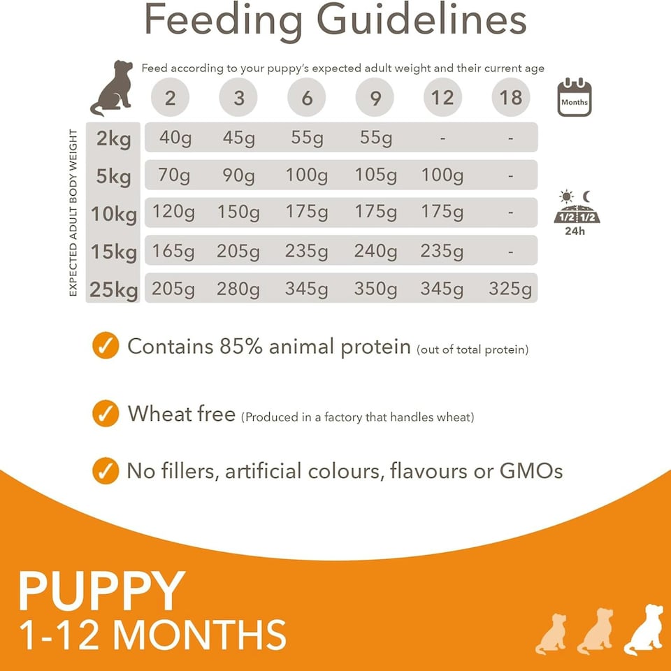 image 1 of IAMS Complete Dry Dog Food for Puppy Small and Medium Breeds with Chicken 12 kg
