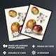 image 2 of King of Pippins Apple Vintage Illustration Wright Wall Art Poster Print 12X16"