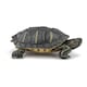 image 2 of PAPO Wild Animal Kingdom Florida Tortoise Toy Figure (50309)