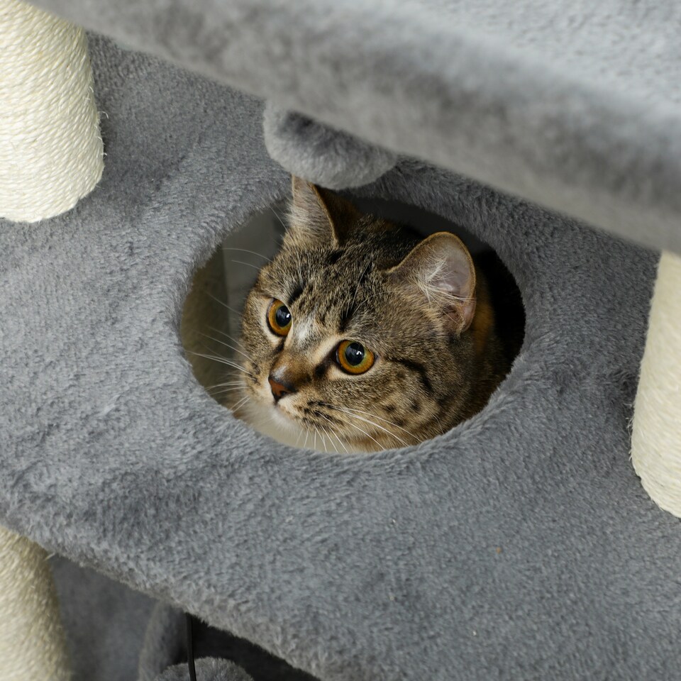 image 1 of PawHut Cat Tree Kitten Tower with Scratching Post Bed Perch Toy