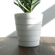 image 4 of 50cm Artificial Mini Palm Tree