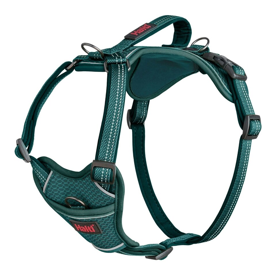 Halti Anatomy Harness Teal - Medium