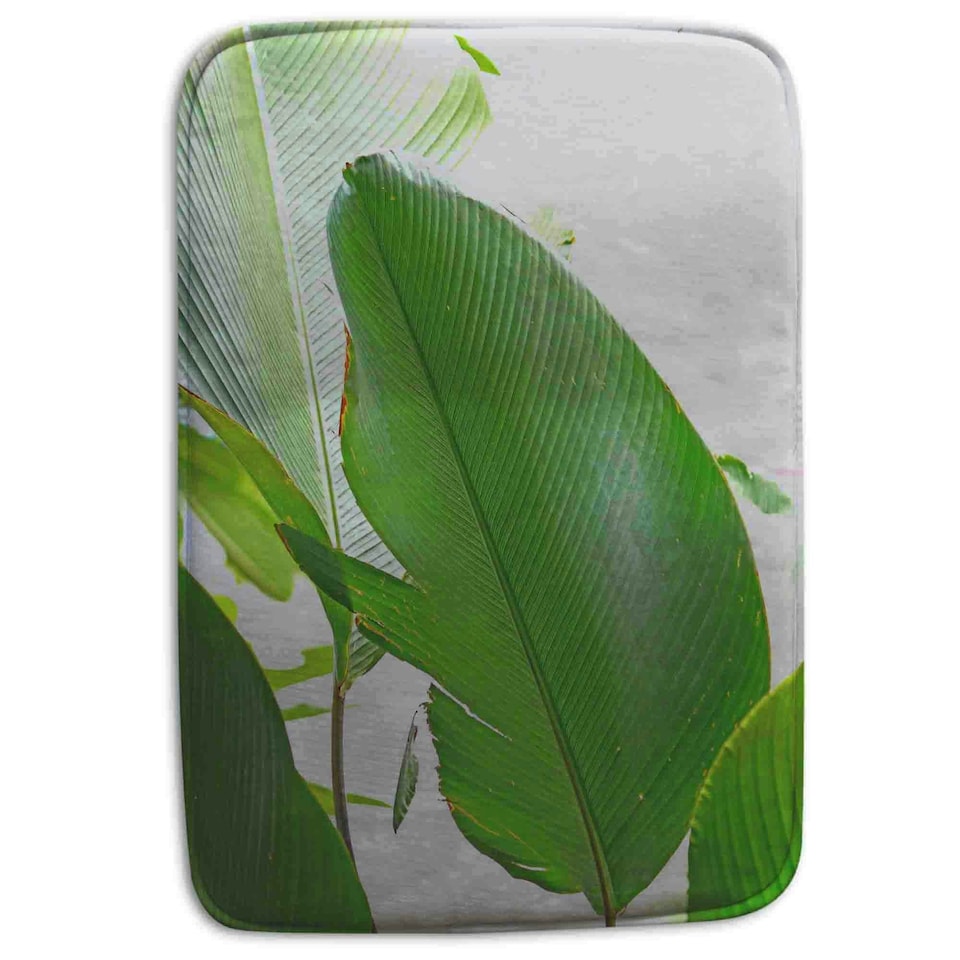 image 1 of Green Leaf (Bathroom Set)