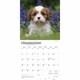 image 4 of Cavalier King Charles Spaniel Puppies 2026 Square Flap Calendar