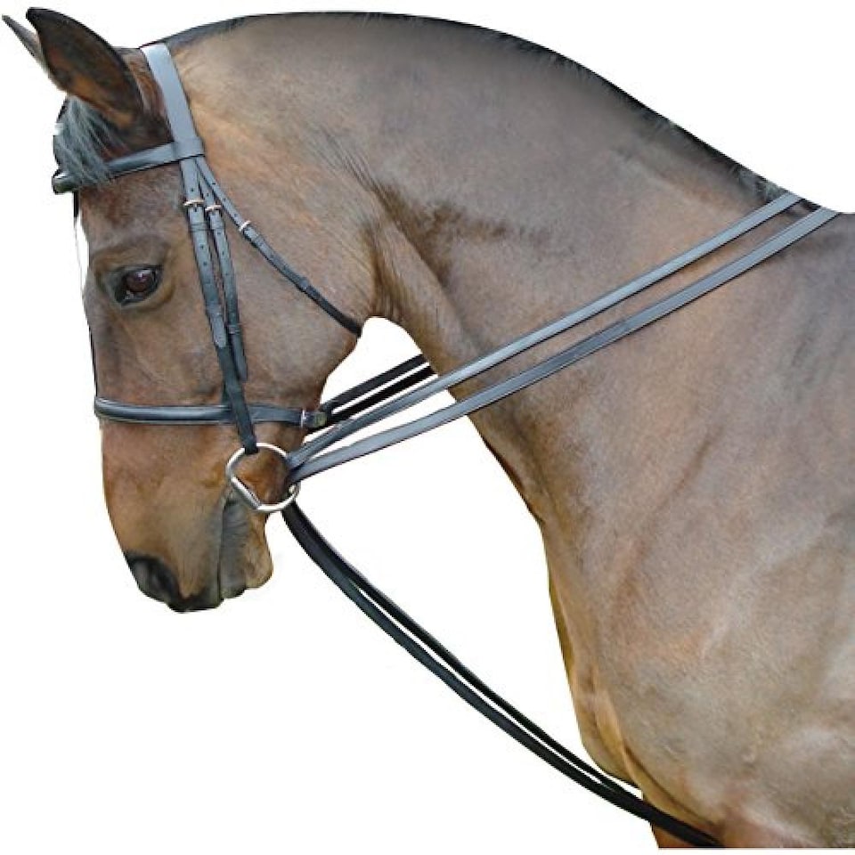 Kincade Leather Draw Reins Set | Black | Black | One Size | 1