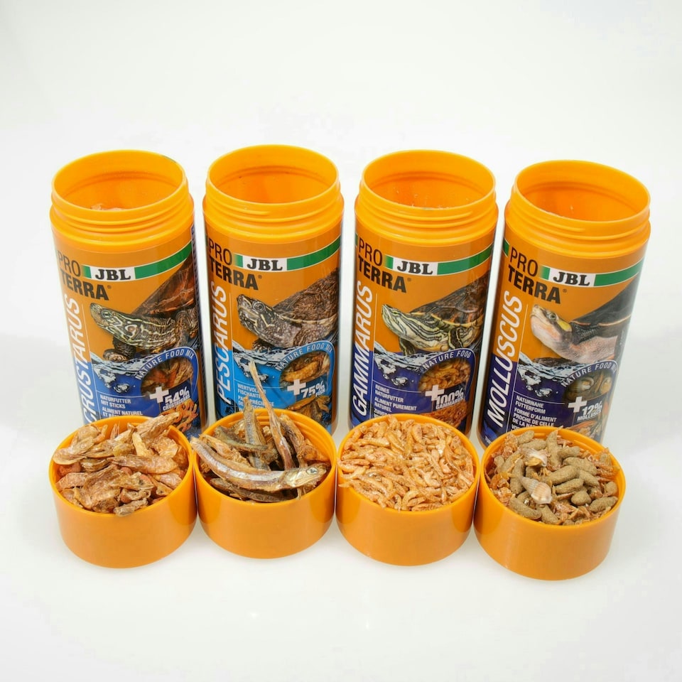 image 1 of JBL Proterra Turtle Menu