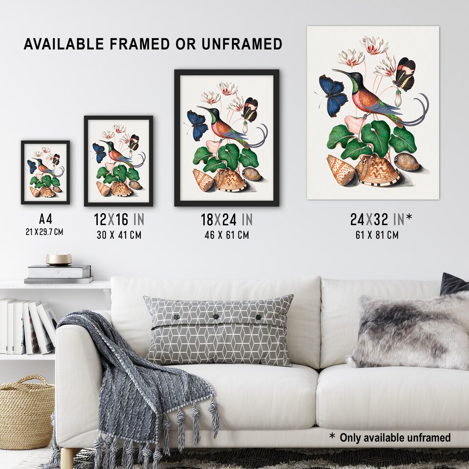 image 1 of Hummingbird Cyclamen Butterflies Seashells Bolton Huge Wall Art Poster Print