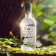 image 6 of Edinburgh 1670 Gin