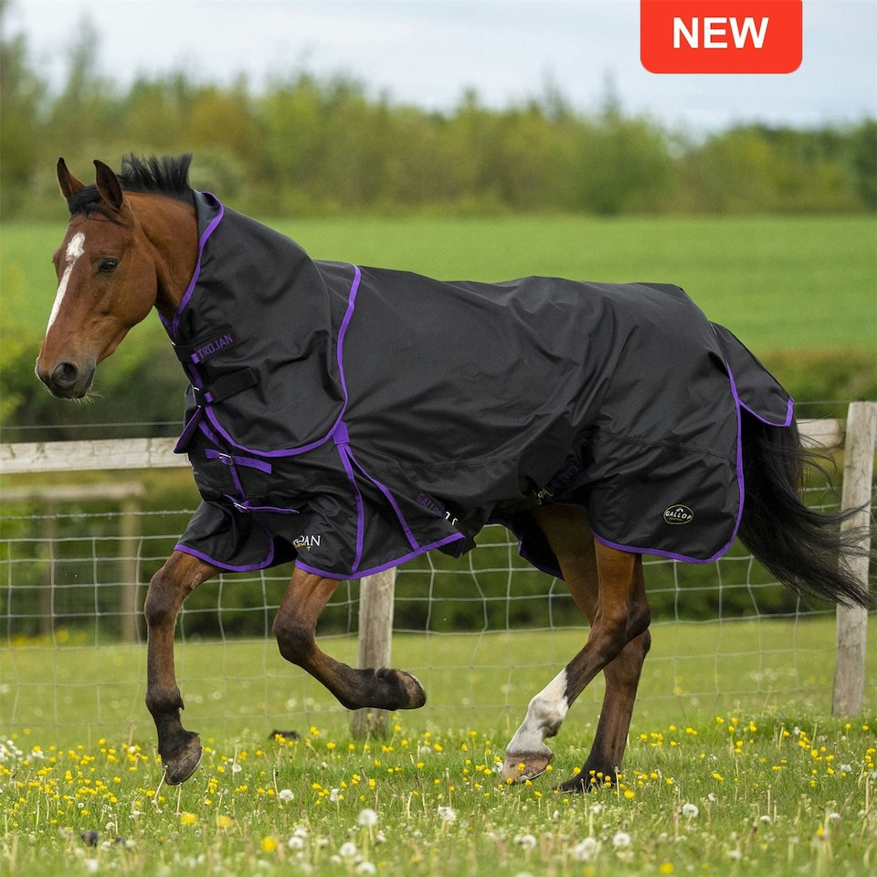 Gallop Equestrian Trojan Dual Lightweight Turnout Rug & Neck Set Black | Size: 6ft 9
Colour: Black/Purple