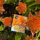 image 3 of Organic Shop Mango-Licious Mood Beauty Gift Set 250ml/250ml