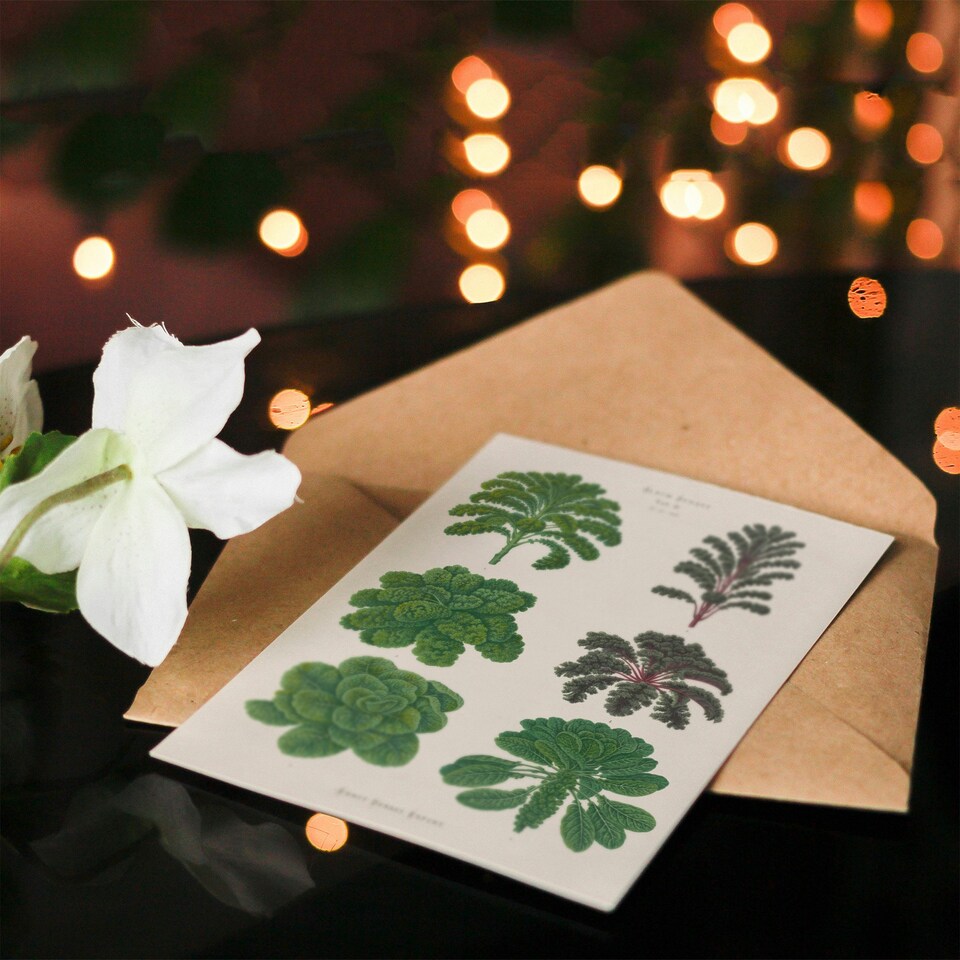 image 1 of Ernst Benary Art Card Kale and Brussel Sprouts Vintage Botanical