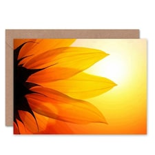 Dt Bright Sunflower Petals Birthday Card