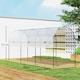 image 7 of Outsunny Tomato Greenhouse with Top Tap, Pointed Bottom and Guy Ropes, Clear