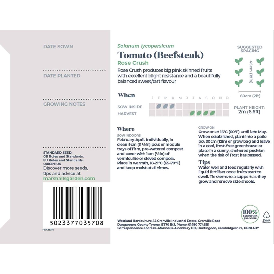 image 1 of Marshalls Garden Tomato Seeds 'Rose Crush' 10 Seeds
