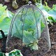 image 9 of Outdoor Wired Plant Protector
