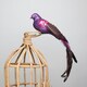 image 3 of Large Decorative Purple Paradise Bird With Clip - 35cm