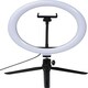 image 1 of Avenue Ring Light (UK Plug) - Solid Black/White - One Size