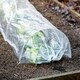 image 2 of Garden Gear PE Greenhouse Tunnel x 2 | Clear | 2