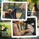 image 10 of PawHut Pet Stroller Carrier Foldable Deluxe Jogger Walk Travel Dog Cat Black