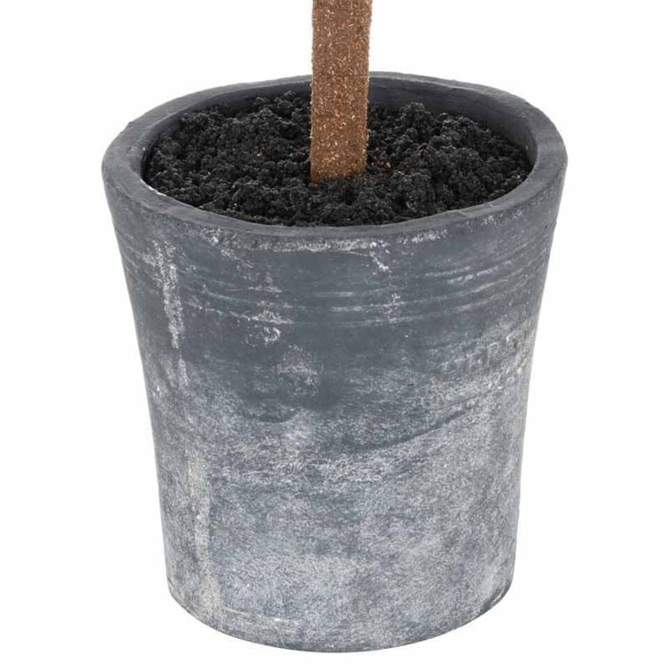 image 1 of Christmas Fir Tree in Stone Pot Artificial Plant - Plastic - L45 x W45 x H120 cm - Green
