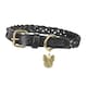 image 1 of Digby & Fox Plaid Leather Dog Collar - Black - XL - Neckline: 20in-23in
