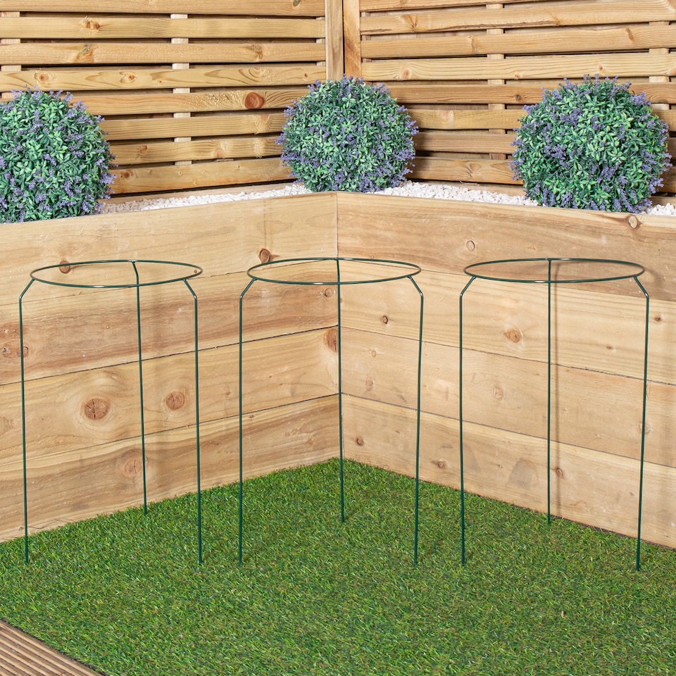 image 1 of Pack of 3 Tom Chambers Urban Metal Herbaceous Garden Plant Support Ring Medium 30cm x 50cm