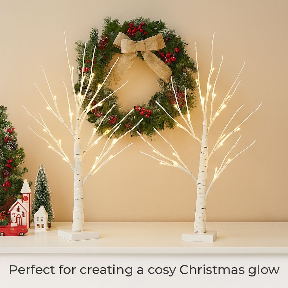 image 1 of Neo Set of 2 LED Pre Lit Twig Tree Lights 60cm Birch Tree Lamp Warm White Lights Battery Operated Decorative Centrepiece Flexible Branches Christmas Wedding Bedroom Home Décor