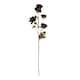 image 3 of Tall Poppy Stem - Plastic - L19 x W19 x H83 cm - Black