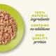 image 4 of Applaws Cat Can Tuna Fillet & Seaweed 70g (Pack of 24)