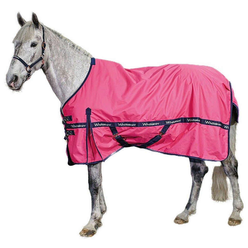 Whitaker Standard-Neck Contrast Horse Turnout Rug - Pink/Navy - 4´ 9"