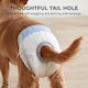 image 6 of PawHut Disposable Dog Diapers Female Dog Nappies 48 Count, XS, 15-33 cm