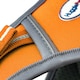 image 3 of HugglePets Activity & Travel Dog Harness Orange | XL