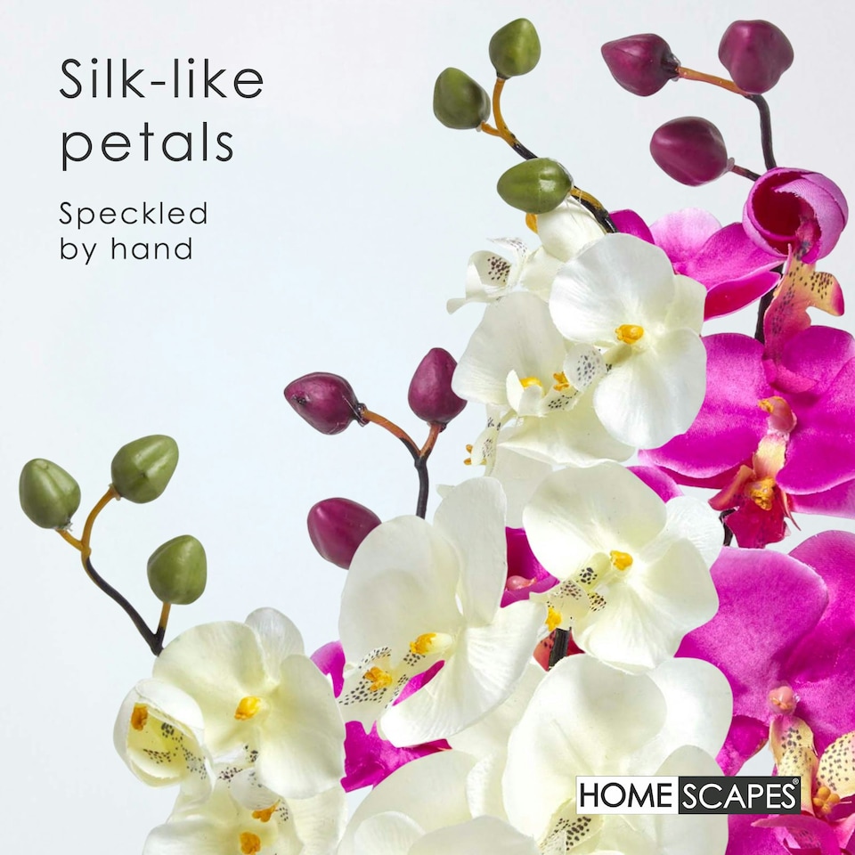 image 1 of Homescapes Set of 2 Cream & Pink Artificial Orchids in Black Ceramic Pots, 55 cm